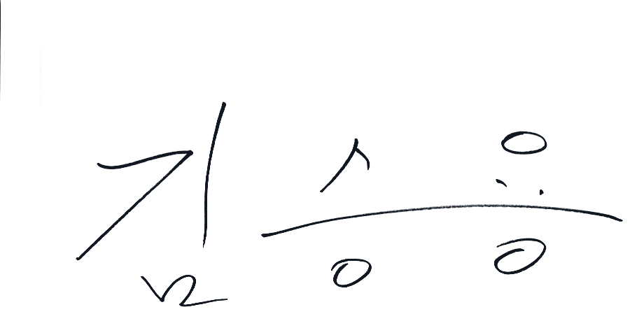 대표이사 김승용 서명